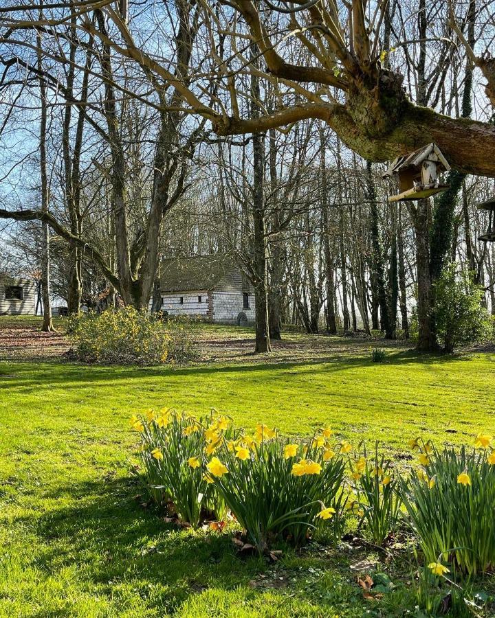 Bed and Breakfast Domaine De Fresnoy Loison-sur-Créquoise Exteriér fotografie