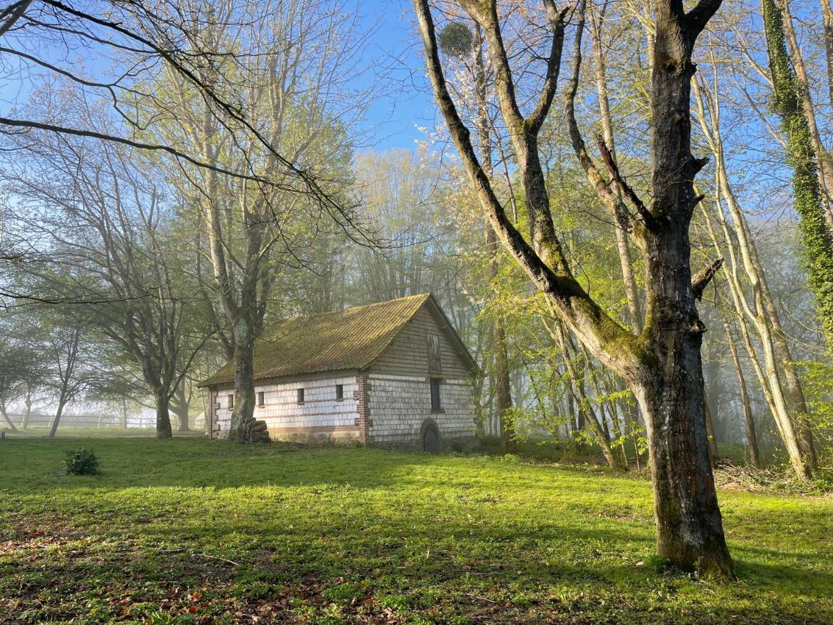 Bed and Breakfast Domaine De Fresnoy Loison-sur-Créquoise Exteriér fotografie